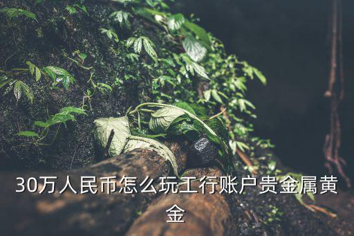 賬戶(hù)貴金屬怎么玩，網(wǎng)上貴金屬怎么玩的
