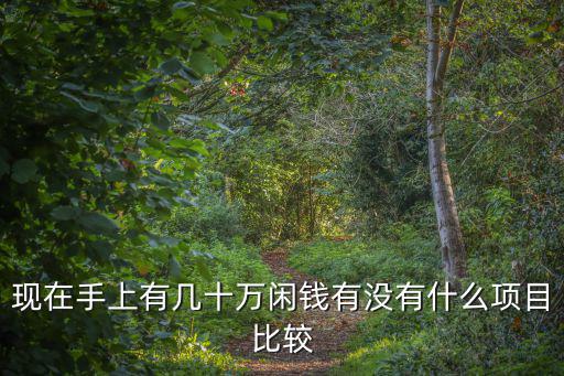 現(xiàn)在手上有幾十萬(wàn)閑錢(qián)有沒(méi)有什么項(xiàng)目比較