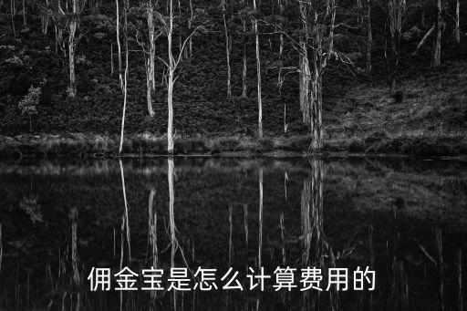 傭金寶是怎么計(jì)算費(fèi)用的