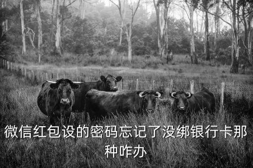 微信紅包設(shè)的密碼忘記了沒綁銀行卡那種咋辦