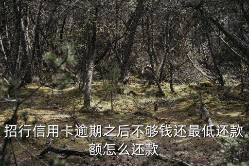 逾期以后怎么還款嗎，捷信分期購(gòu)機(jī)逾期后怎樣還款