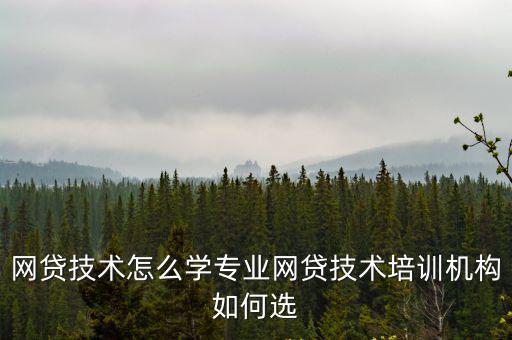 網(wǎng)貸技術(shù)怎么學(xué)專(zhuān)業(yè)網(wǎng)貸技術(shù)培訓(xùn)機(jī)構(gòu)如何選