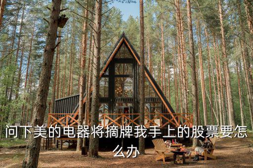 被摘牌公司股票怎么辦，被紐交所摘牌股票怎么辦
