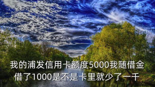隨借金怎么沒(méi)額度嗎，隨借金是跟信用卡額度嗎