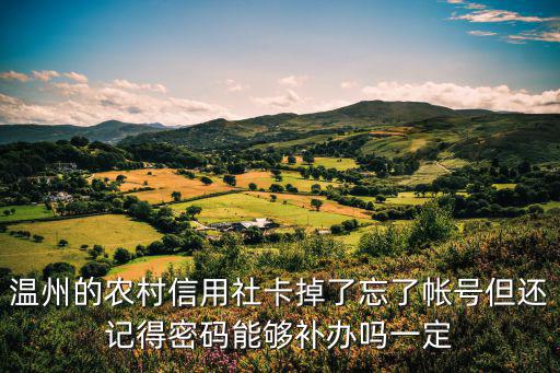 溫州的農(nóng)村信用社卡掉了忘了帳號但還記得密碼能夠補辦嗎一定
