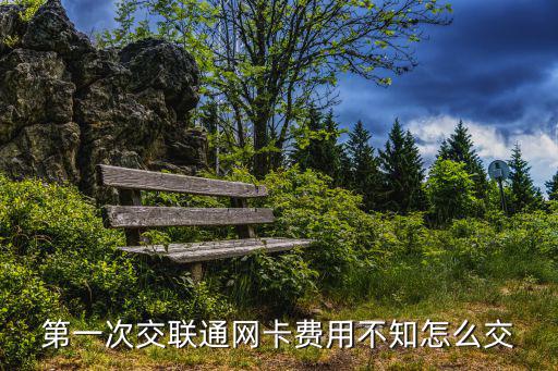 第一次交聯(lián)通網(wǎng)卡費用不知怎么交