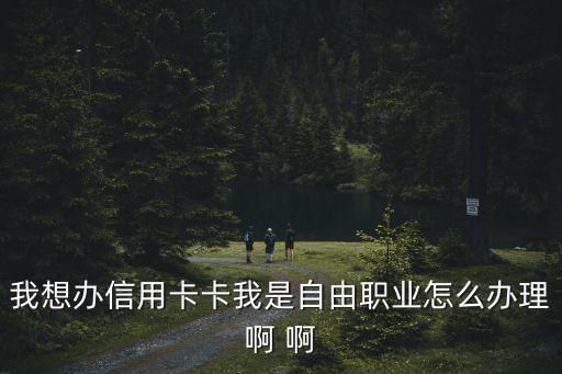 我想辦信用卡卡我是自由職業(yè)怎么辦理啊 啊