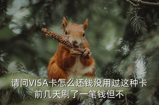 請(qǐng)問(wèn)VISA卡怎么還錢沒(méi)用過(guò)這種卡前幾天刷了一筆錢但不