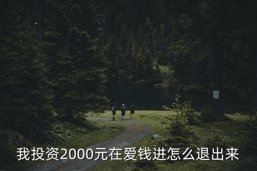我投資2000元在愛(ài)錢進(jìn)怎么退出來(lái)