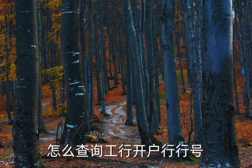 怎么查詢工行開戶行行號