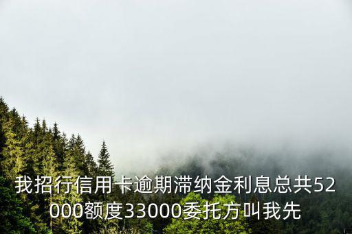 我招行信用卡逾期滯納金利息總共52000額度33000委托方叫我先