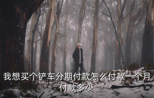 我想買個鏟車分期付款怎么付款一個月付款多少