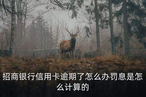 招商銀行信用卡逾期利息怎么算利息，招行信用卡逾期利息是怎么算的