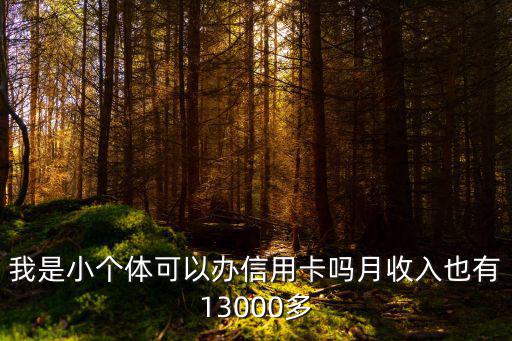 我是小個(gè)體可以辦信用卡嗎月收入也有13000多