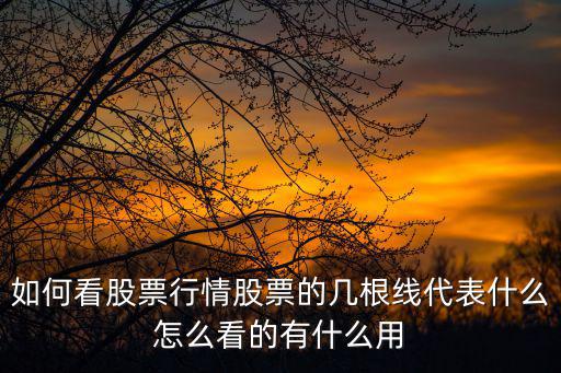 股票那些線怎么看，股票中那么多的線怎么看