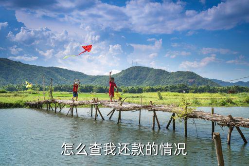 怎么看平安的還款，怎么查我還款的情況