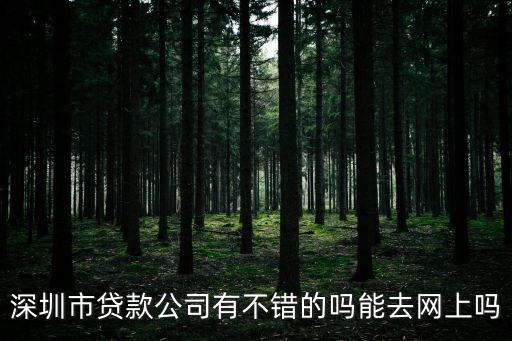 深圳市貸款公司有不錯(cuò)的嗎能去網(wǎng)上嗎