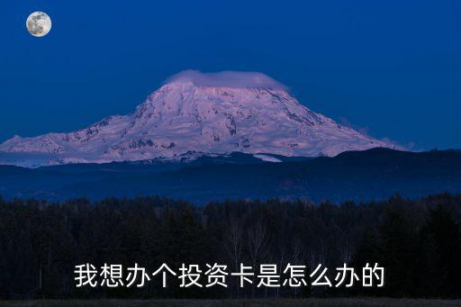 我想辦個(gè)投資卡是怎么辦的