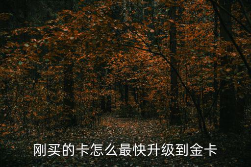 怎么成為國航金卡，航空小白求答怎么成為星空聯(lián)盟金卡