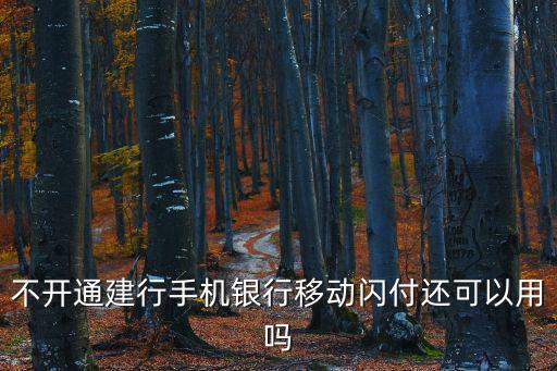 不開(kāi)通建行手機(jī)銀行移動(dòng)閃付還可以用嗎