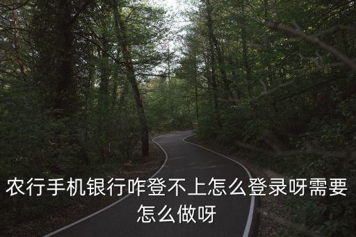 農(nóng)行手機(jī)銀行咋登不上怎么登錄呀需要怎么做呀