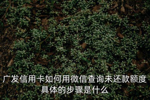 廣發(fā)信用卡如何用微信查詢未還款額度具體的步驟是什么