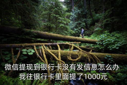 微信提現(xiàn)系統(tǒng)信息怎么辦理，怎么申請(qǐng)微信提現(xiàn)時(shí)實(shí)到賬