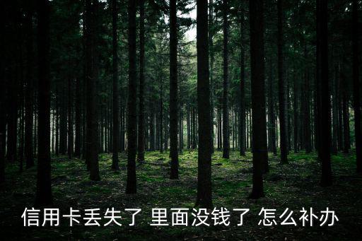 信用卡丟失了 里面沒錢了 怎么補(bǔ)辦