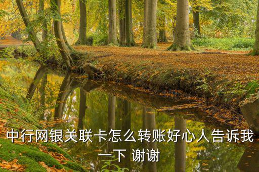 中行網(wǎng)銀關(guān)聯(lián)卡怎么轉(zhuǎn)賬好心人告訴我一下 謝謝