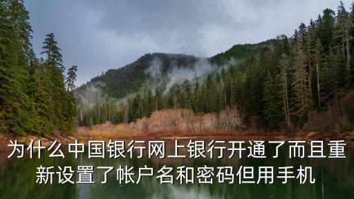 為什么中國銀行網(wǎng)上銀行開通了而且重新設(shè)置了帳戶名和密碼但用手機