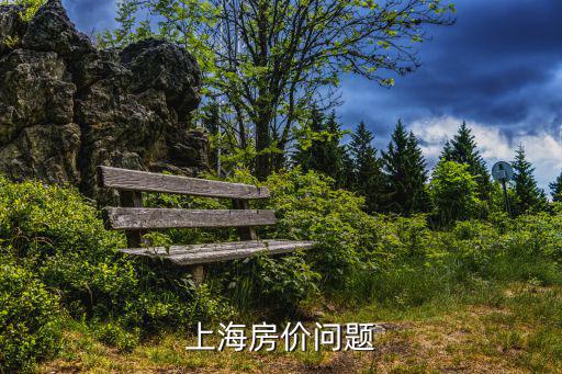 上海怎么做低房價，上海房價問題