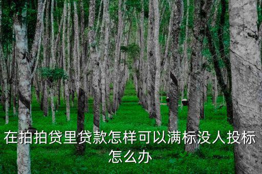 在拍拍貸里貸款怎樣可以滿標(biāo)沒人投標(biāo)怎么辦
