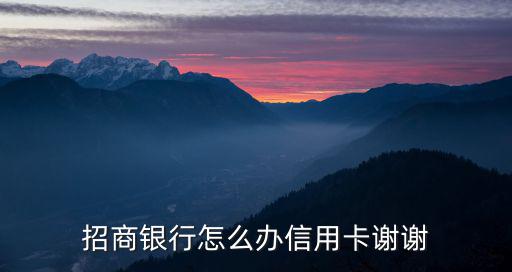 招行 車卡 怎么辦理信用卡，招商銀行怎么辦信用卡謝謝