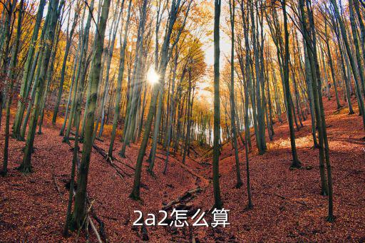 2a2怎么算