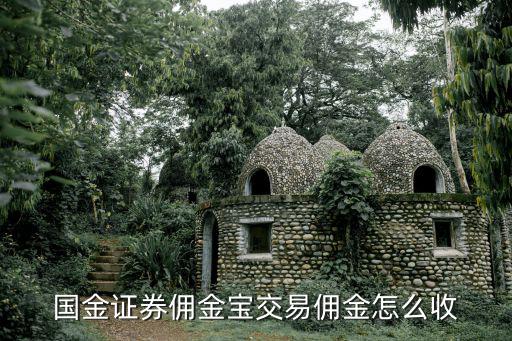 國金證券傭金寶交易傭金怎么收