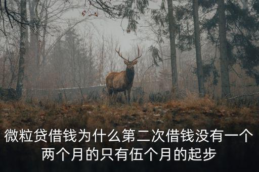 微粒貸重啟怎么那么久，你好怎么樣我的微粒貸這么久不給我開通的