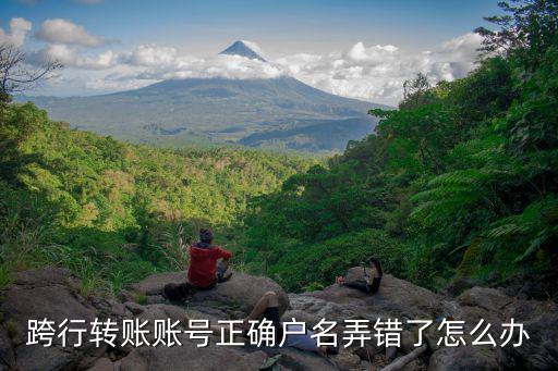 跨行轉(zhuǎn)賬賬號正確戶名弄錯了怎么辦