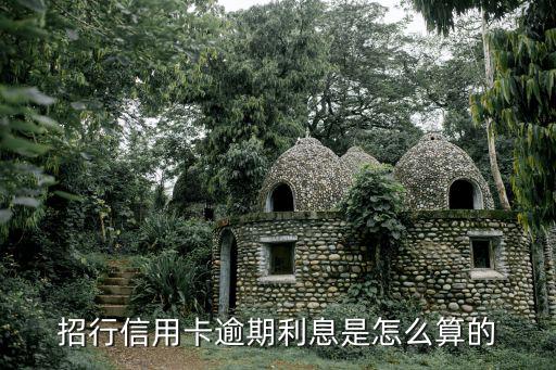 招商逾期利息怎么算利息怎么算的，招商銀行信用卡過期利息怎么計(jì)算的