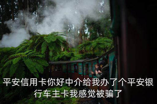 平安信用卡你好中介給我辦了個平安銀行車主卡我感覺被騙了