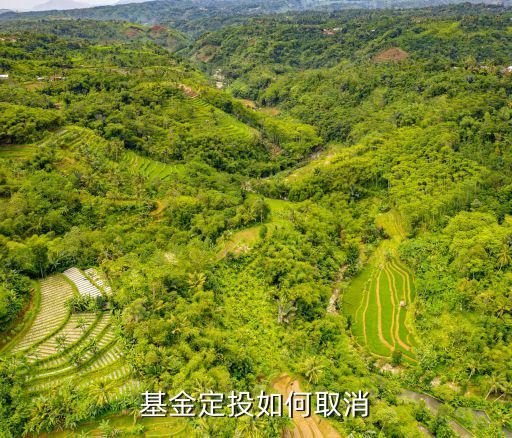 基金定投如何取消