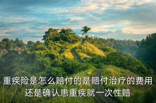 重疾是怎么賠付的，重大疾病保險(xiǎn)的賠付方式是怎樣的