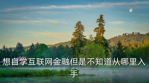 網(wǎng)金融b怎么買，想自學(xué)互聯(lián)網(wǎng)金融但是不知道從哪里入手