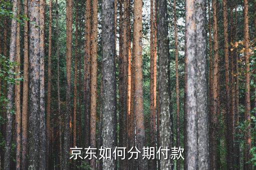 京東金融怎么看分期，京東如何分期付款