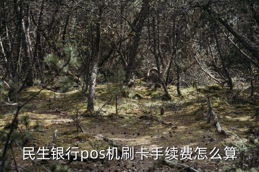 民生銀行pos機(jī)刷卡手續(xù)費(fèi)怎么算
