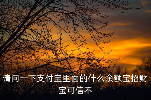 余額寶里的招財(cái)寶怎么樣，請(qǐng)問(wèn)一下支付寶里面的什么余額寶招財(cái)寶可信不