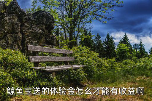鯨魚寶體驗(yàn)金怎么使用方法，鯨魚寶送的體驗(yàn)金怎么才能有收益啊