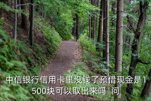 中信銀行信用卡里沒(méi)錢(qián)了預(yù)借現(xiàn)金是1500塊可以取出來(lái)嗎  問(wèn)