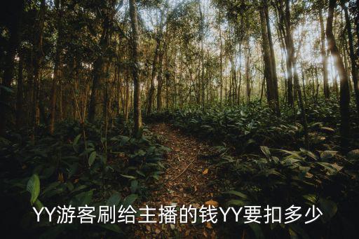 yy直播卡號(hào)錢怎么算，yy金幣和人民幣怎么算