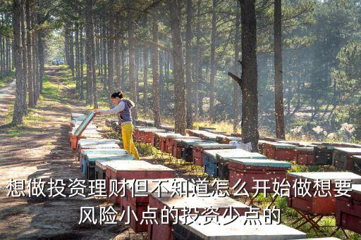 想做投資理財(cái)?shù)恢涝趺撮_始做想要風(fēng)險(xiǎn)小點(diǎn)的投資少點(diǎn)的