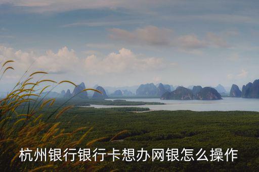 杭州銀行銀行卡想辦網銀怎么操作